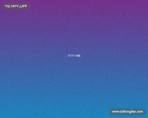 WTA11月赛事 WTA11月赛事